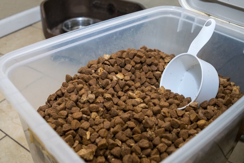pet food in plastic container