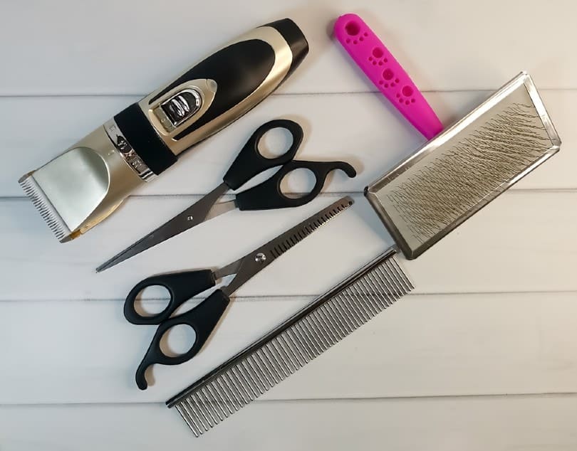 pet grooming tools