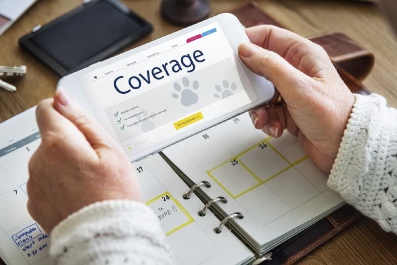 pet insurance coverage