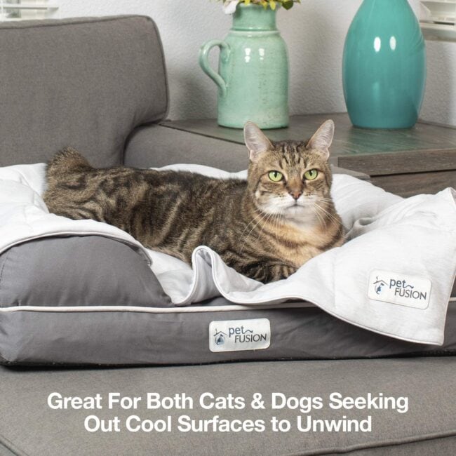 petfusion-cooling-blanket