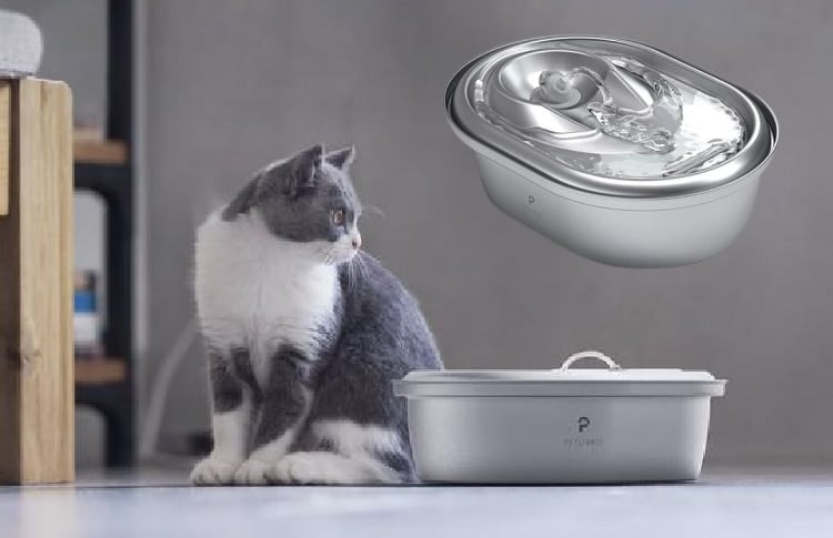 stainless-steel-cat-fountain