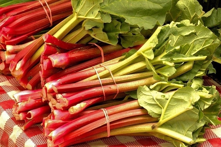 piles of rhubarb