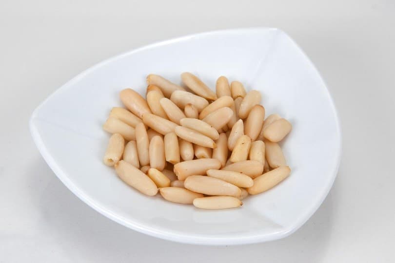 pine nuts in a while bowl