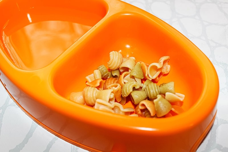 plain cooked pasta in an orange pet bowl