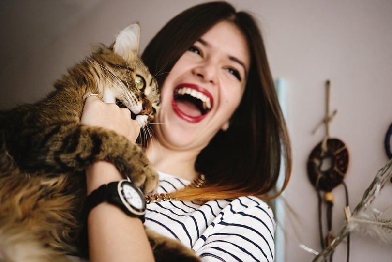 playing with her cat