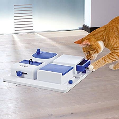 https://www.catster.com/wp-content/uploads/2023/12/poker-box-trixie-cats.jpg