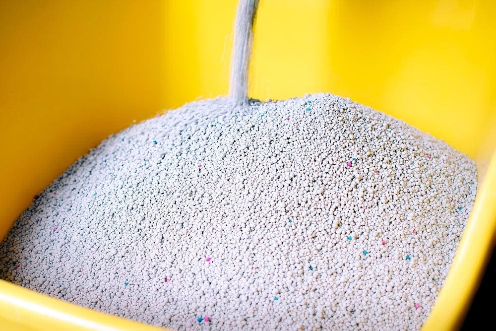 pouring-cat-litter-in-the-litter-box