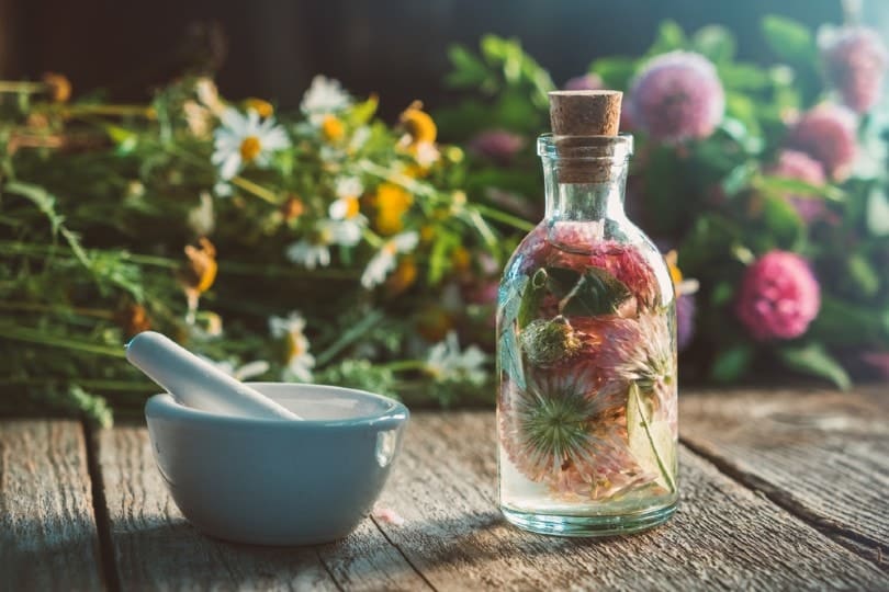 preserving flowers