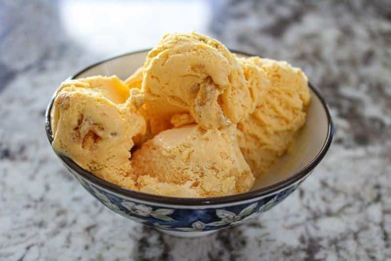 pumpkin ice cream in bowl