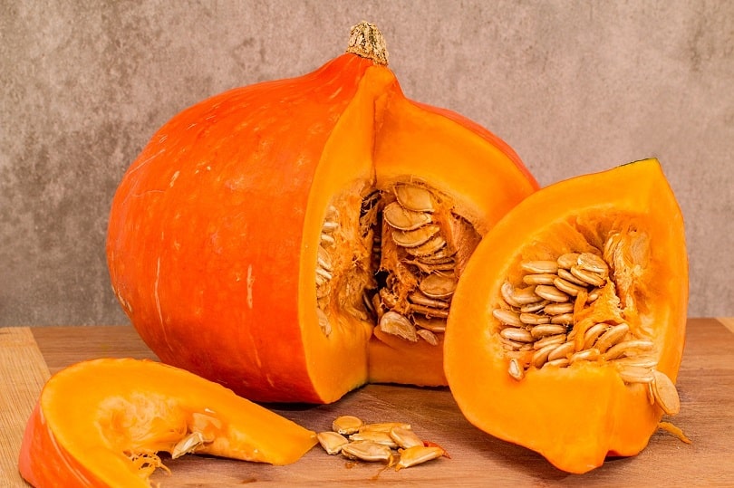 pumpkin-pixabay