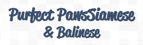 purfect paws logo