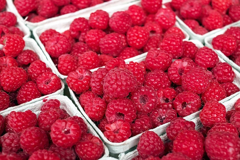 raspberries in white containers