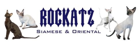 rockatz logo