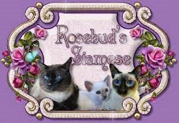 rosebud's siamese logo