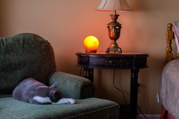 cat sleeping near salt lamp