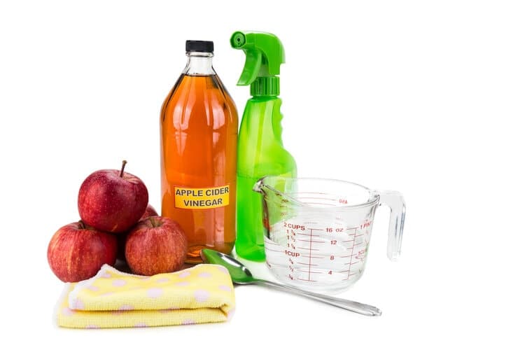 apple cider vinegar spray