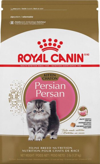 royal canin persian kitty food