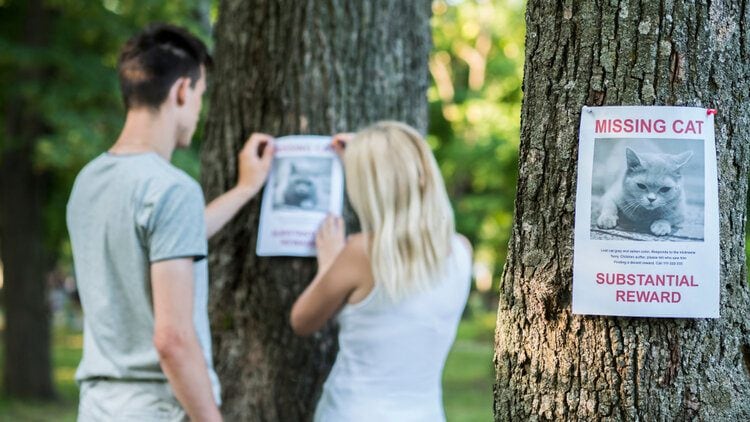 couple putting up missing poster