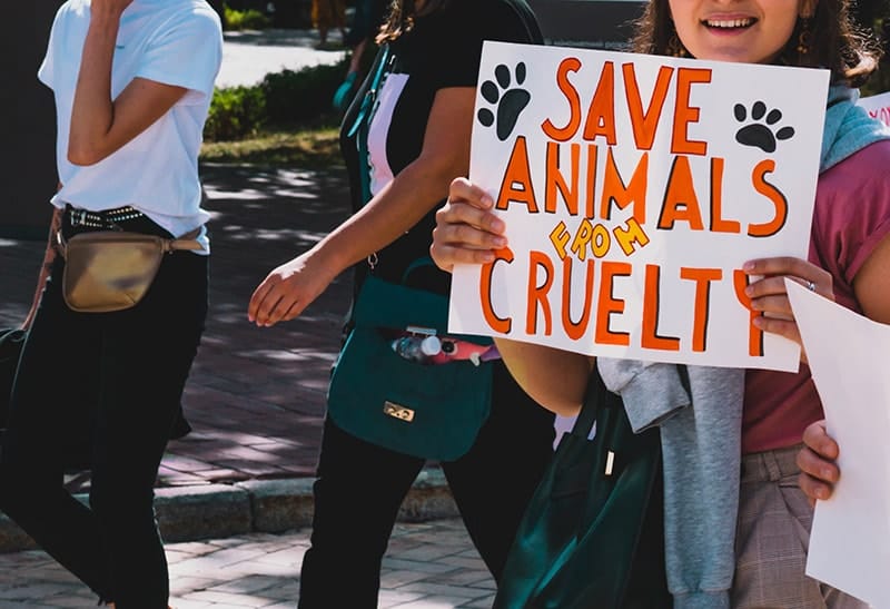 save animals from cruelty protest