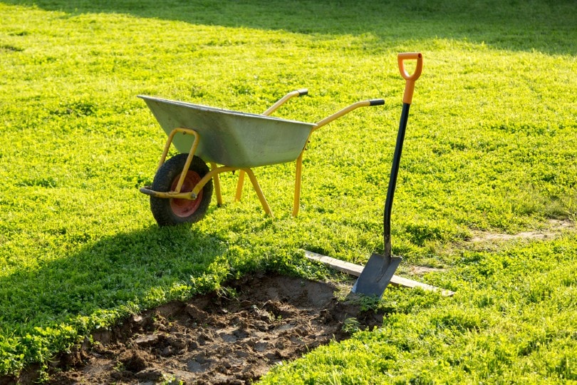 shovel and wheelbarrow
