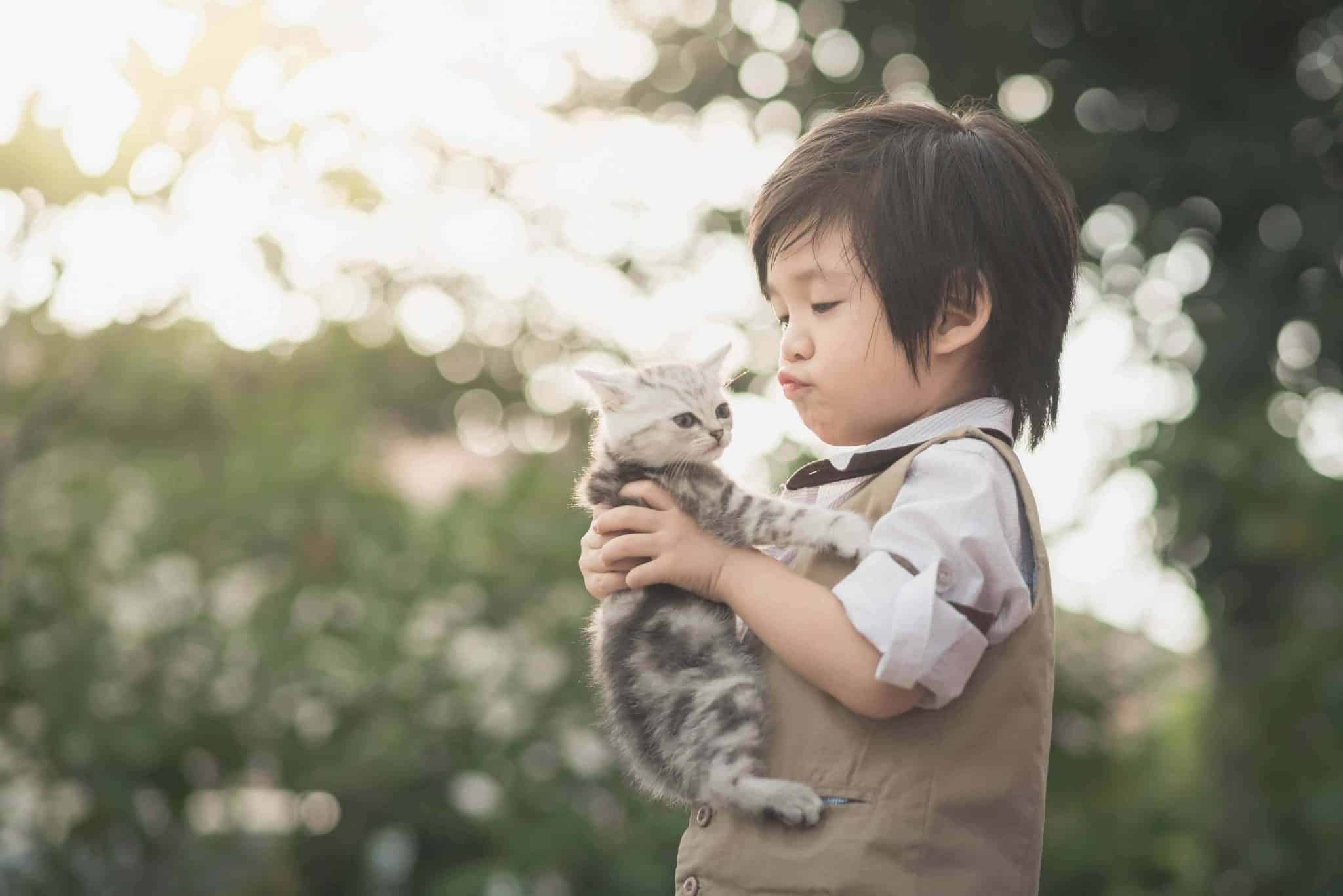 Korean Asian boy with kitten