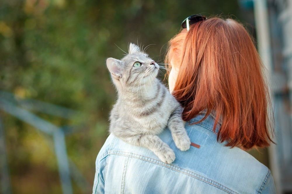 Why Does My Cat Sit on My Shoulder? 6 Reasons & What to Do Catster