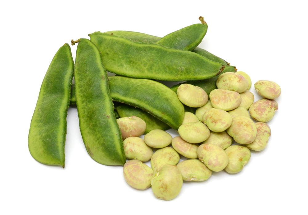 fresh lima beans