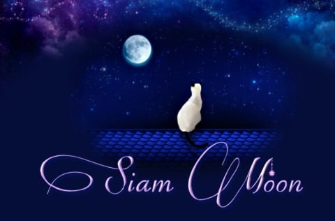 siam-moon logo