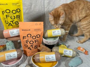 smalls freeze-dried raw and human-grade fresh cat food with tabby cat