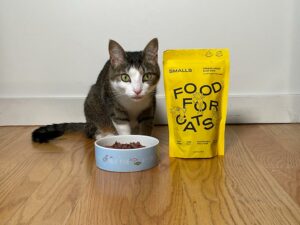 smalls freeze-dried raw bird recipe on bowl with tabby cat