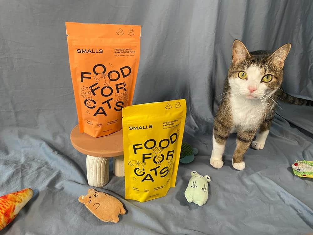 smalls freeze-dried raw other bird and bird with tabby cat