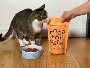smalls freeze-dried raw other bird recipe with tabby cat
