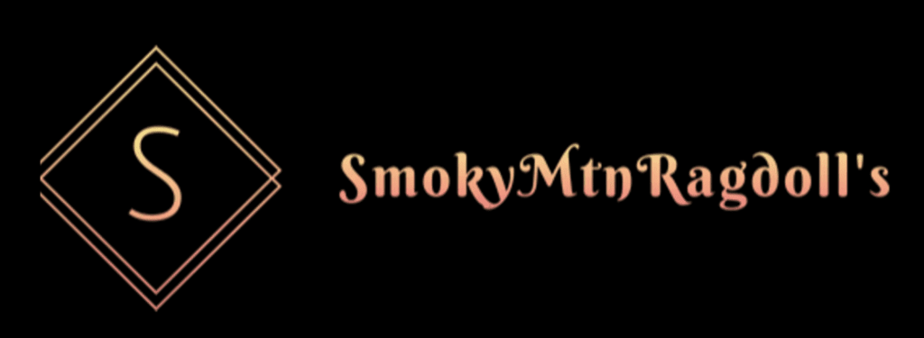 smokymtnragdolls