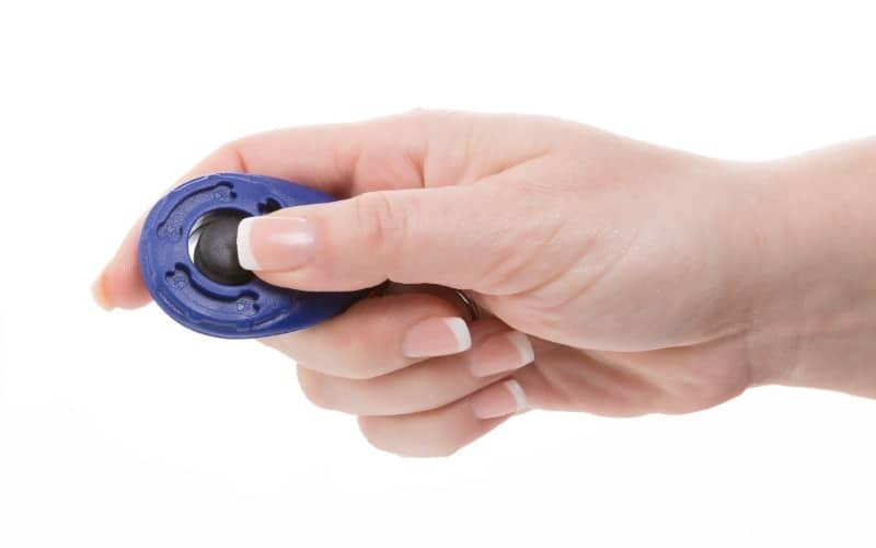 training clicker for pets