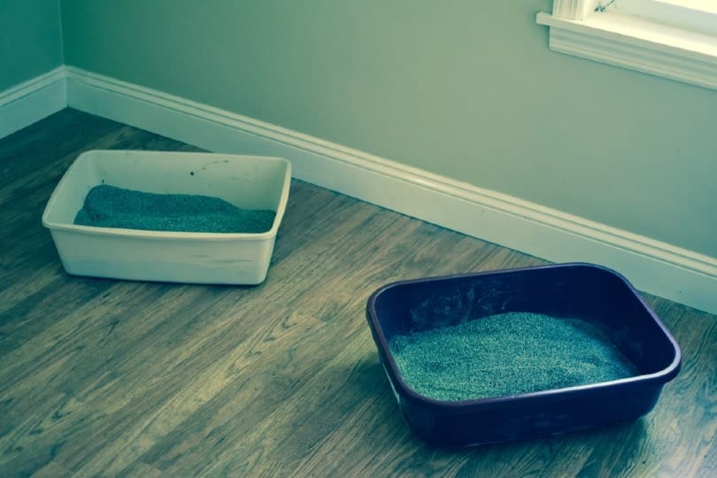 two cat litter boxes on wooden floor