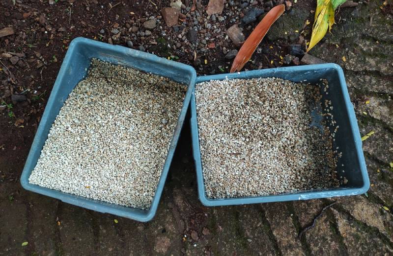 two-cat-litter-trays-outdoors_Noor-Wahid_Shutterstock-1