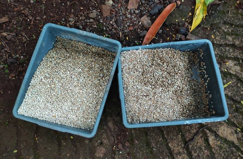 two cat litter trays outdoors