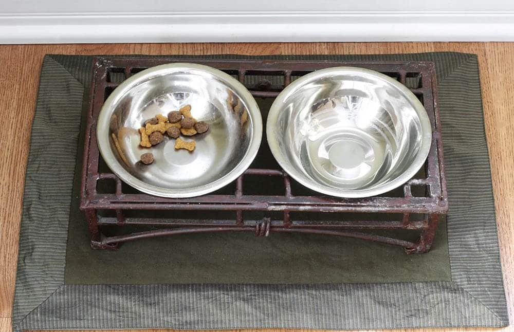two pet food bowls on a mat