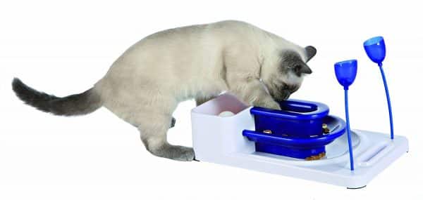 Wet Food Puzzles for Cats - Catster