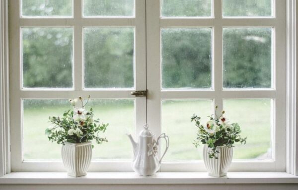 white-window-with-plants