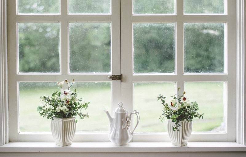 white window with plants
