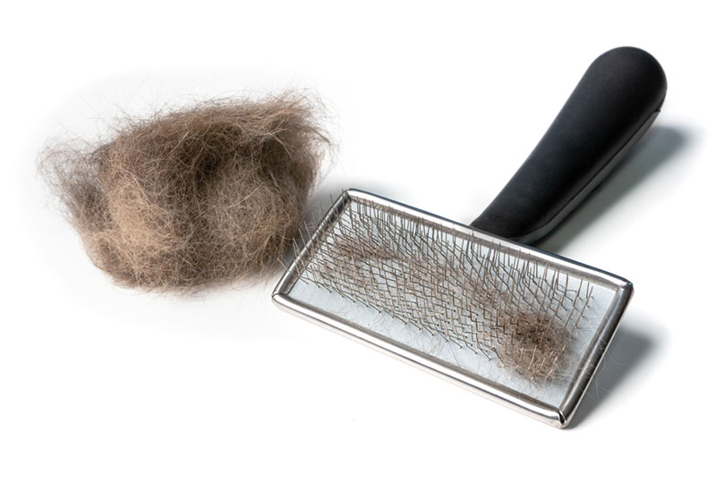 wire bristle grooming brush with cat hair clump on the side