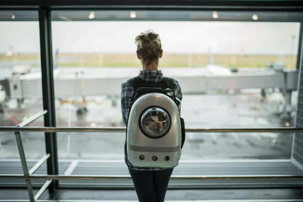 woman carrying cat in the airport