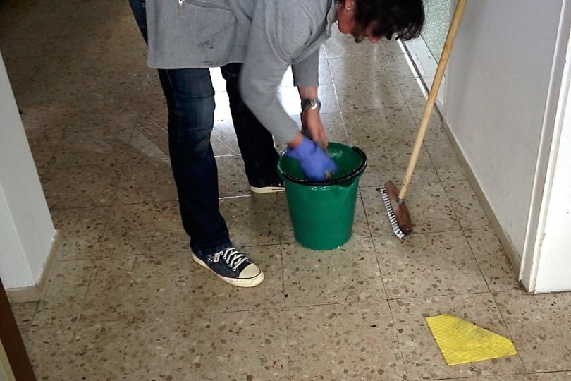 woman cleaning the floor