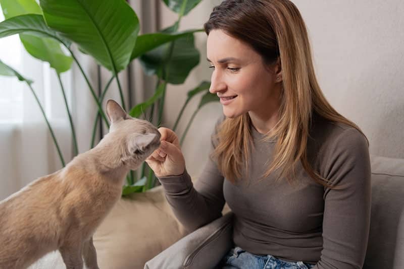 woman giving treat to her cat
