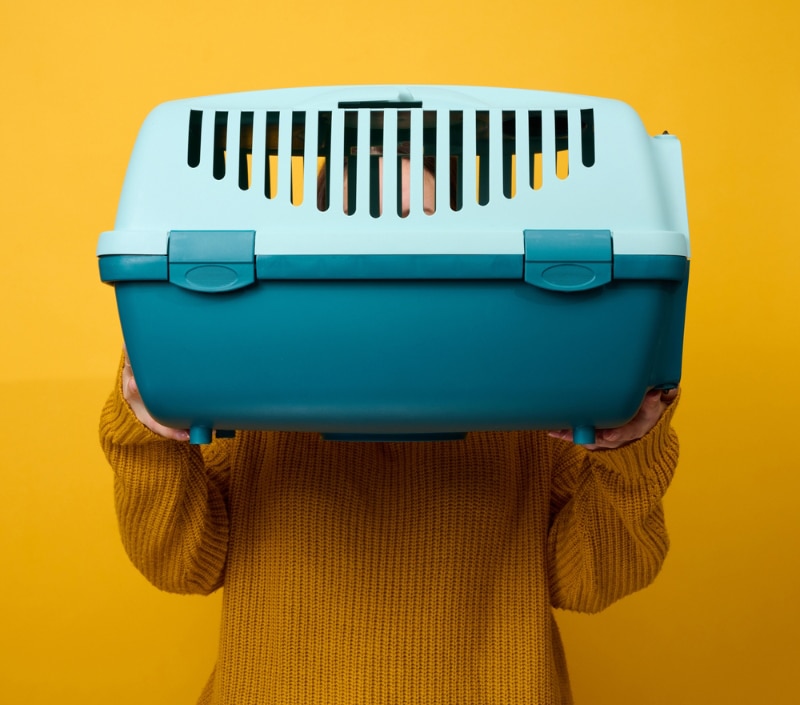 woman holding a pet carrier