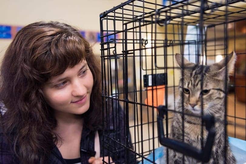woman adopting a cat