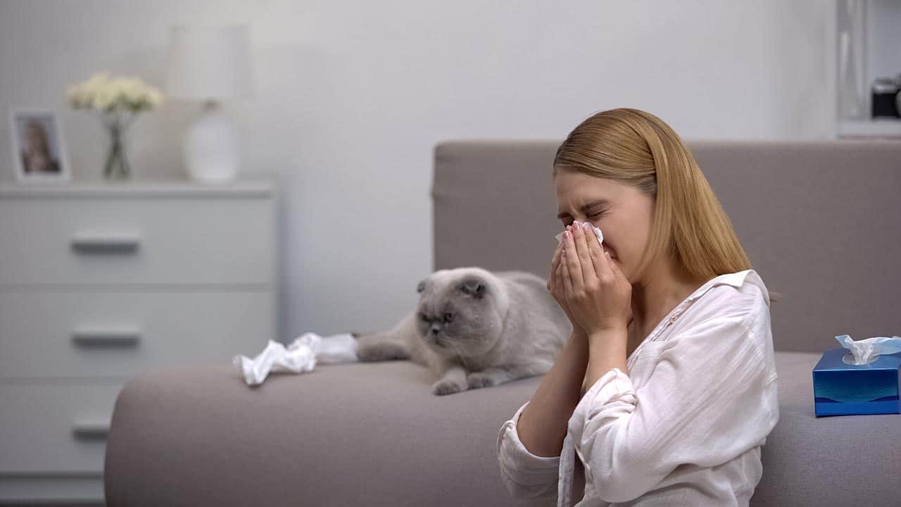 Woman sneezing beside a cat