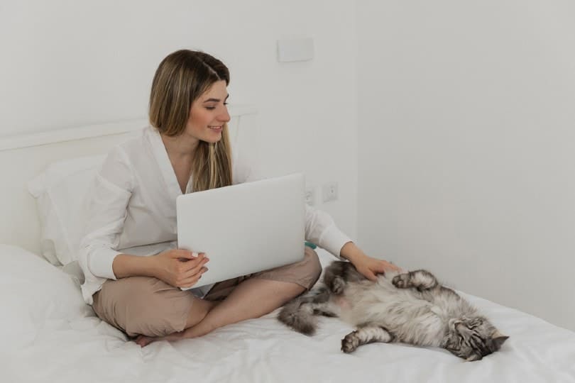 woman stroking her Maine Coon cat