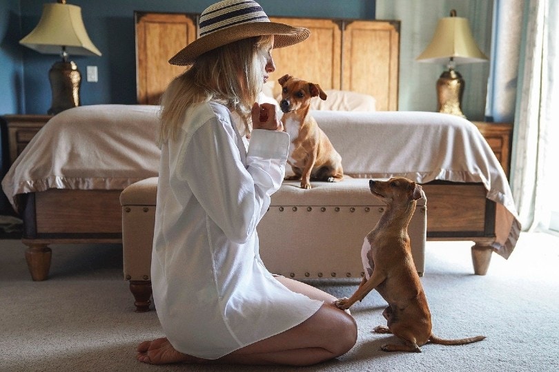 woman training her dog